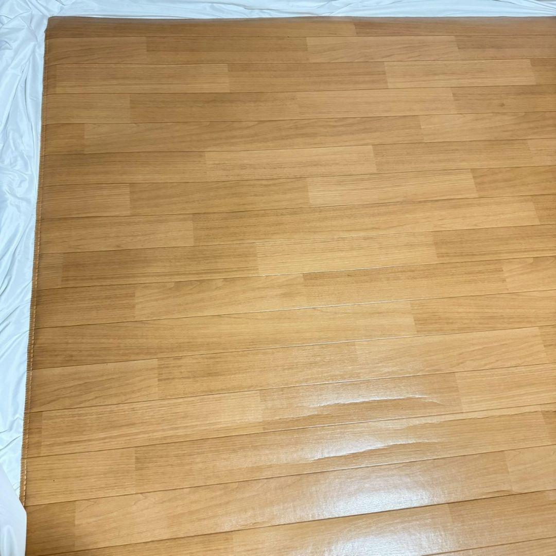 Panasonic 3畳 パナソニック かんたん床暖　DC-3V1R