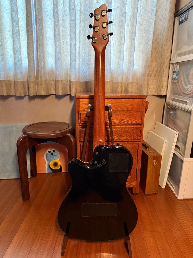 ギター Godin A6