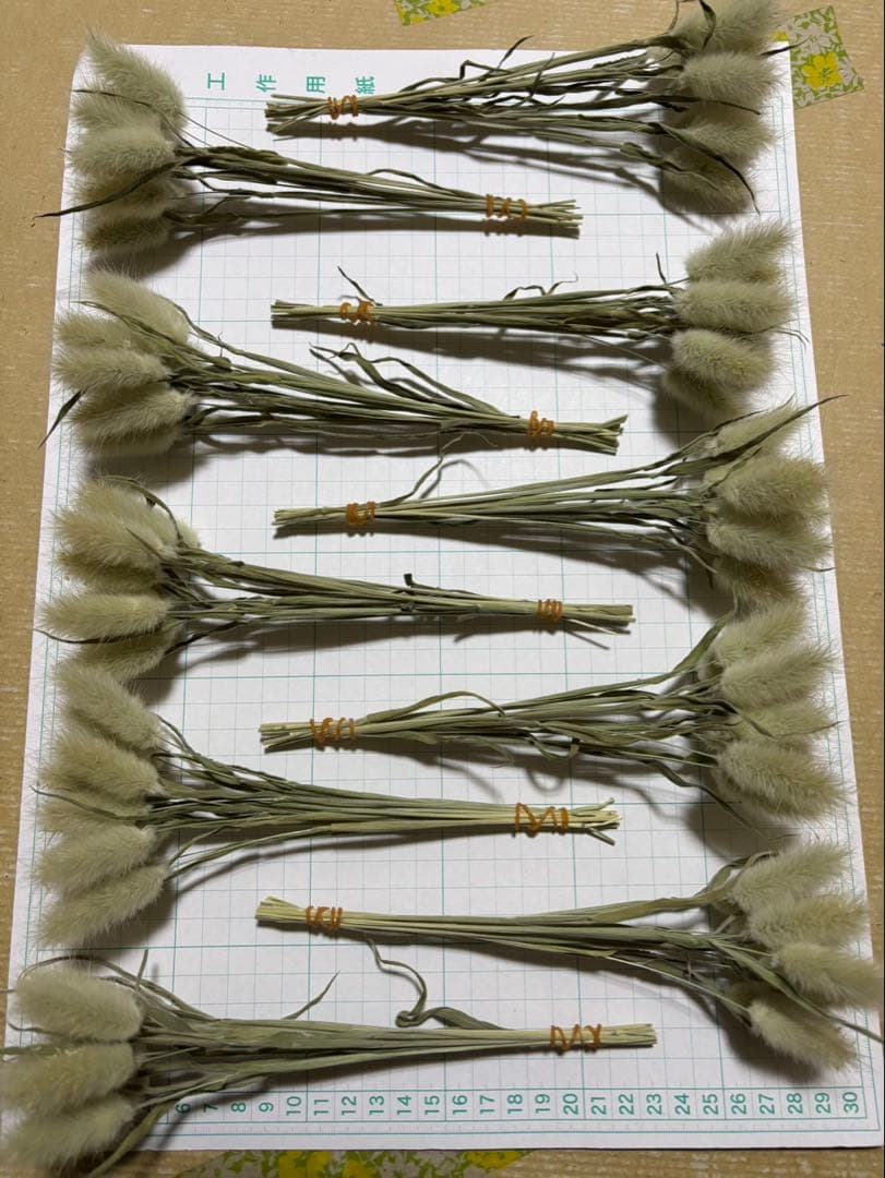 ドライフラワー ラグラスオバタス