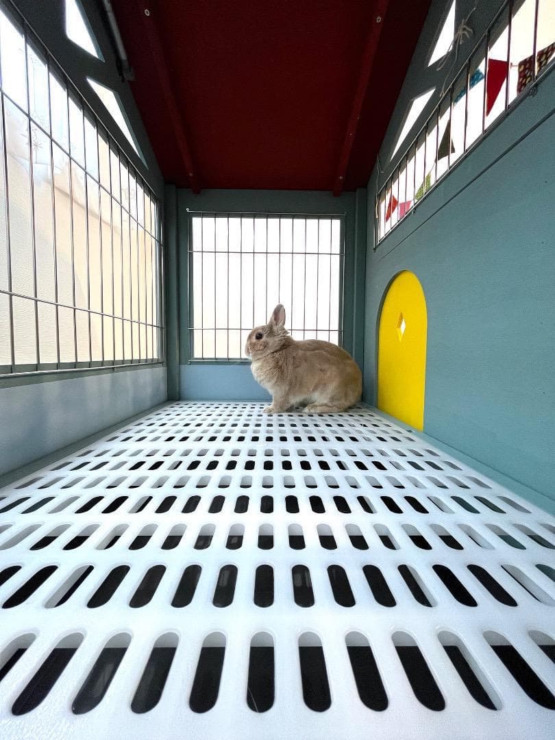 ＊訳あり激安！【もちつき】弐番館　北欧デザインペットハウス　うさぎ用ケージ