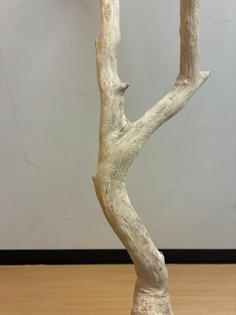 一点物 流木オブジェ|爬虫類・魚｜高さ約75cm Y字型｜大型インテリア