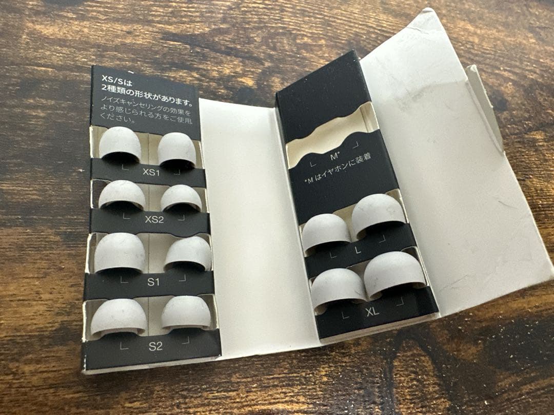 ワイヤレスイヤホン Technics AZ-80 シルバー