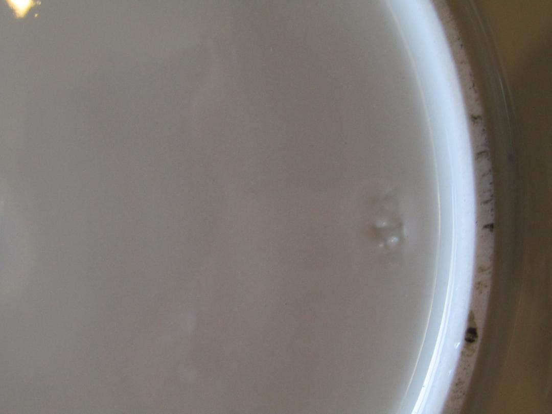 サ*ナ様 マイセン　カラーオニオン　アンティーク 花と鳥の装飾プレート　希少品