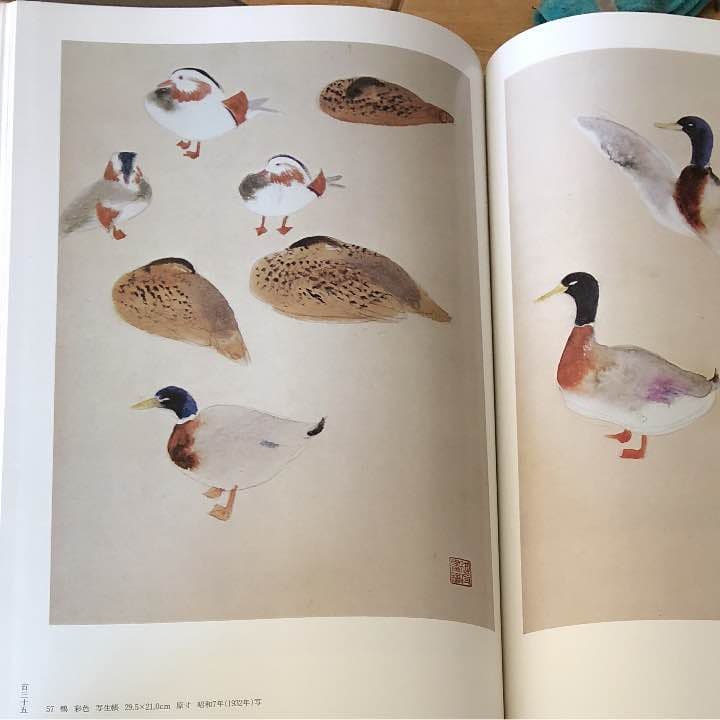 御舟 速水御舟作品と素描 全二巻