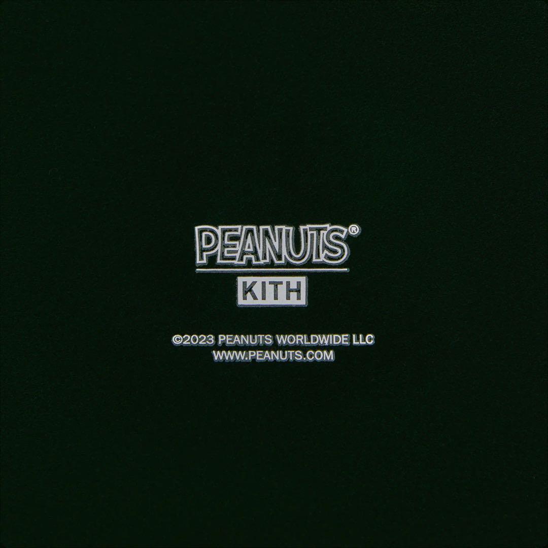 SNOOPY × KITH コラボ　スノードーム