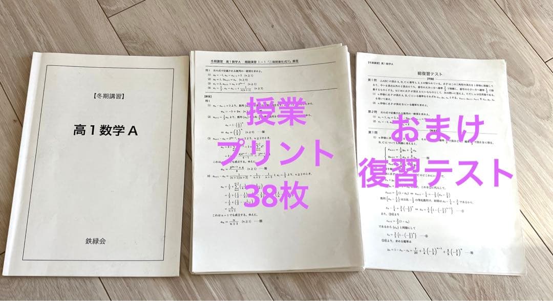 【匿名配送】鉄緑会　冬期講習　高1数学A 問題　授業プリント