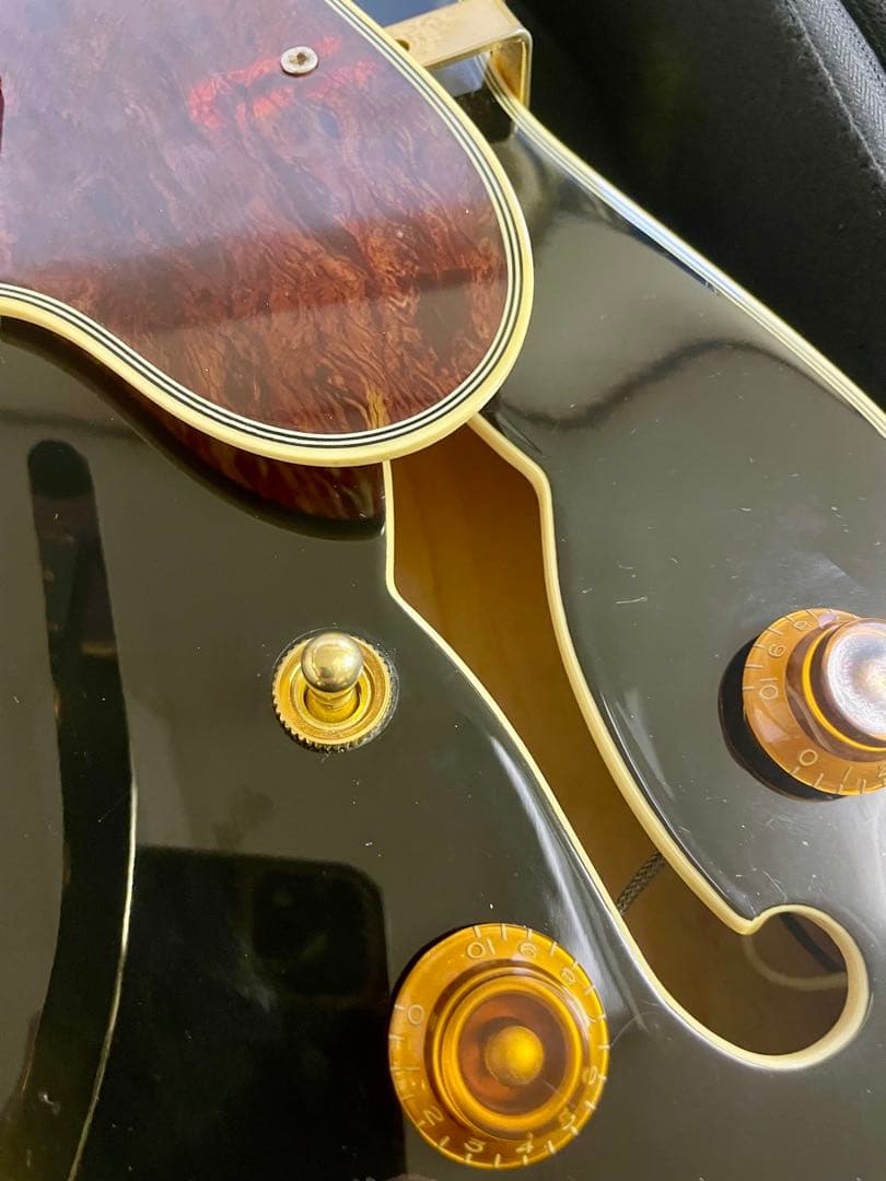 EPIPHONE エピフォン SHERATON シェラトン Ⅱ EB