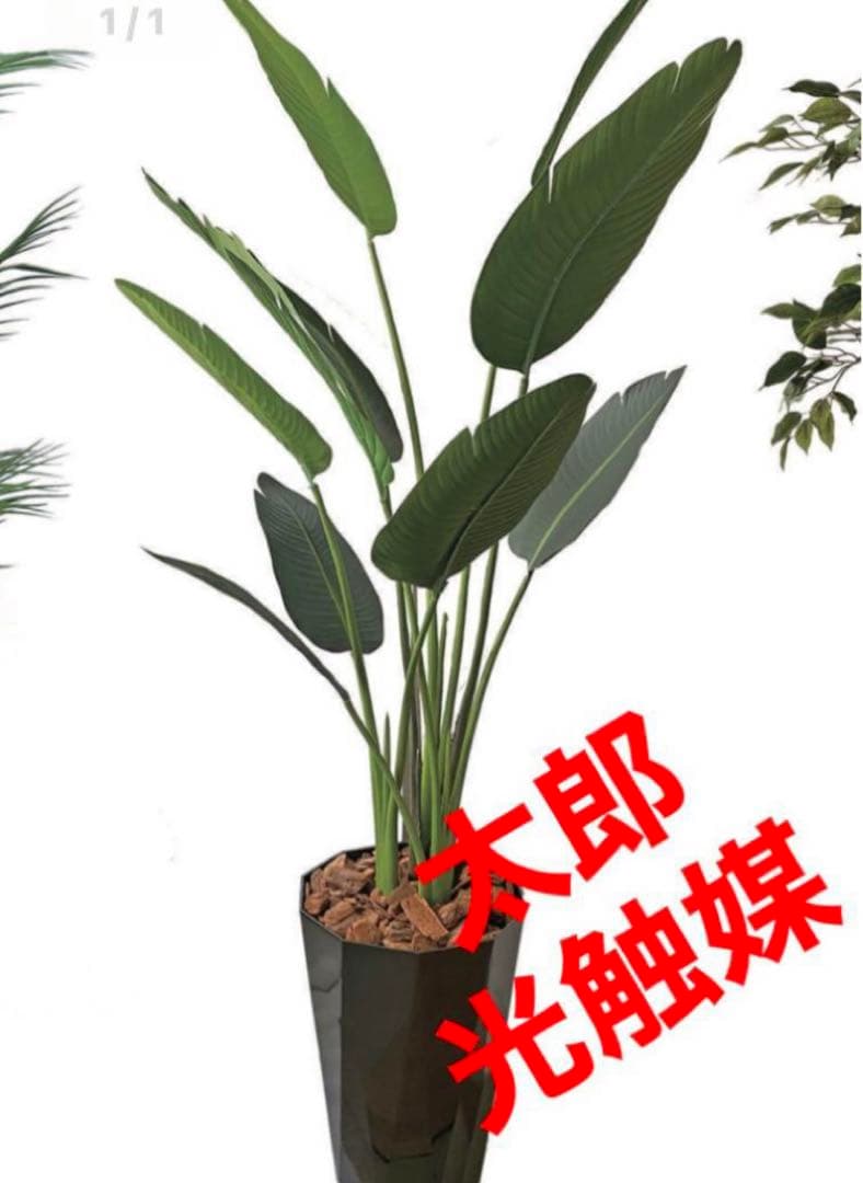 光触媒　人工観葉植物　ウォールグリーン　フェイクグリーン　オーガスタ160