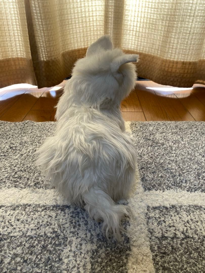 ハンサ ホワイトテリア ぬいぐるみ ウェスティ 2点セット westie
