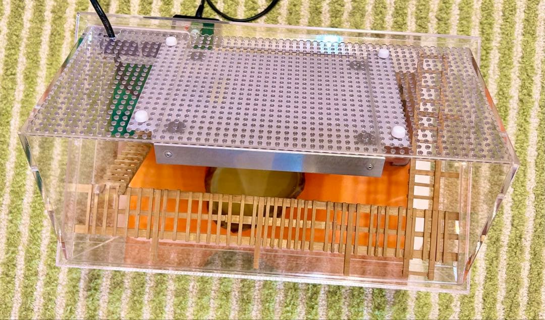 ヒョウモントカゲモドキ　レオパ　爬虫類　飼育ゲージ　一式