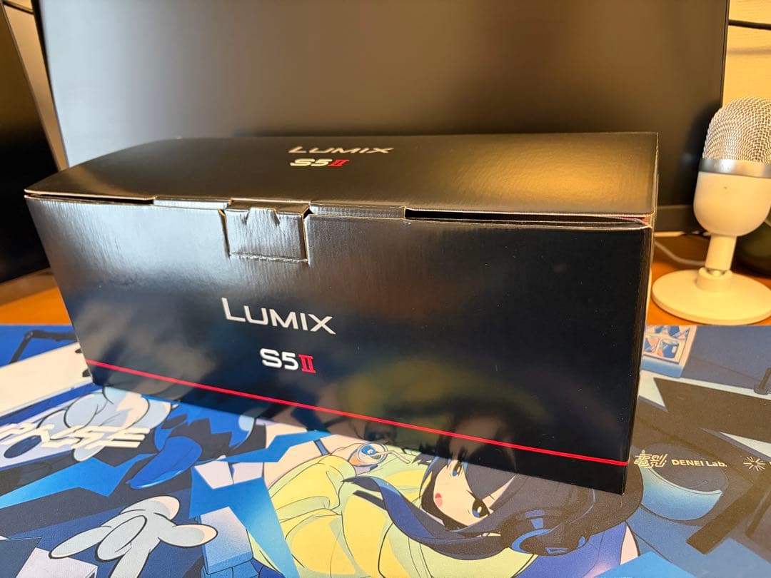 Panasonic Lumix S5Ⅱ (DC-S5M2)多数オプション＋保証書