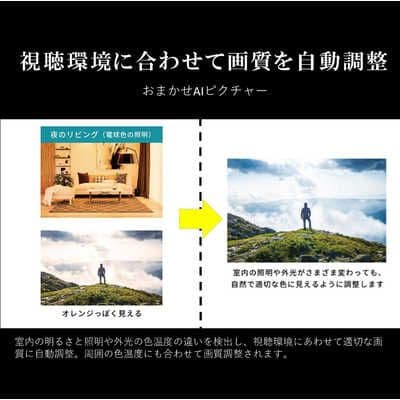 液晶テレビ 全国配送無料 2024年 50V型 50M550M REGZA