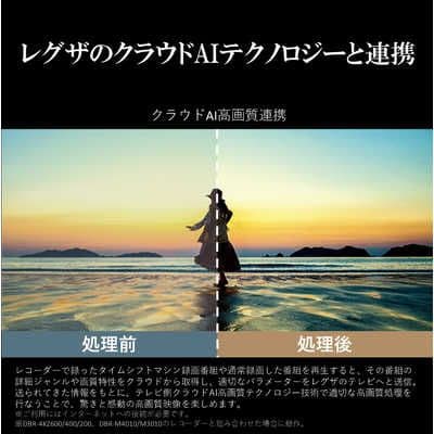 液晶テレビ 全国配送無料 2024年 50V型 50M550M REGZA