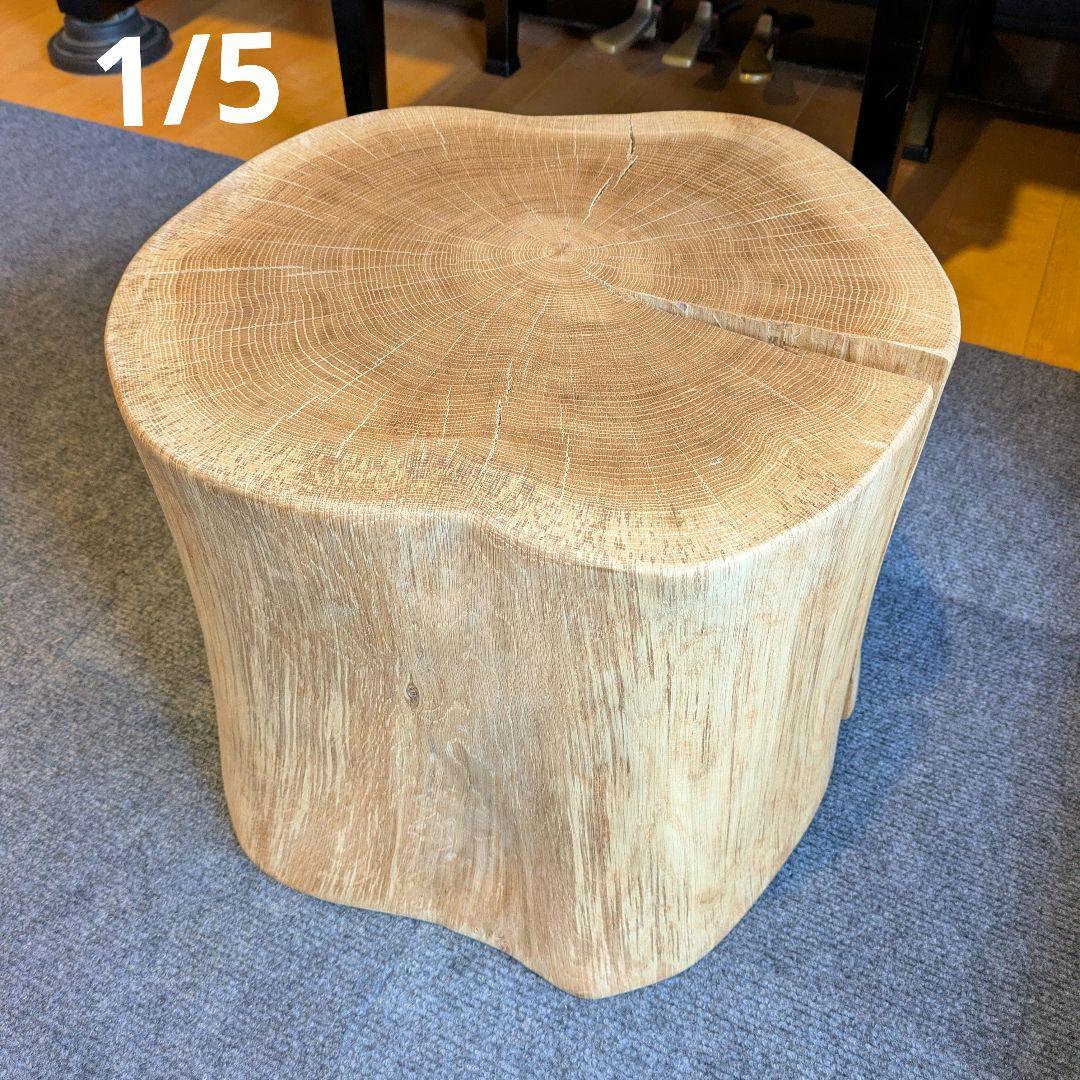 3104　　ミズナラ　水楢　天然木　切り株　丸太　輪切り　高さ約28㎝
