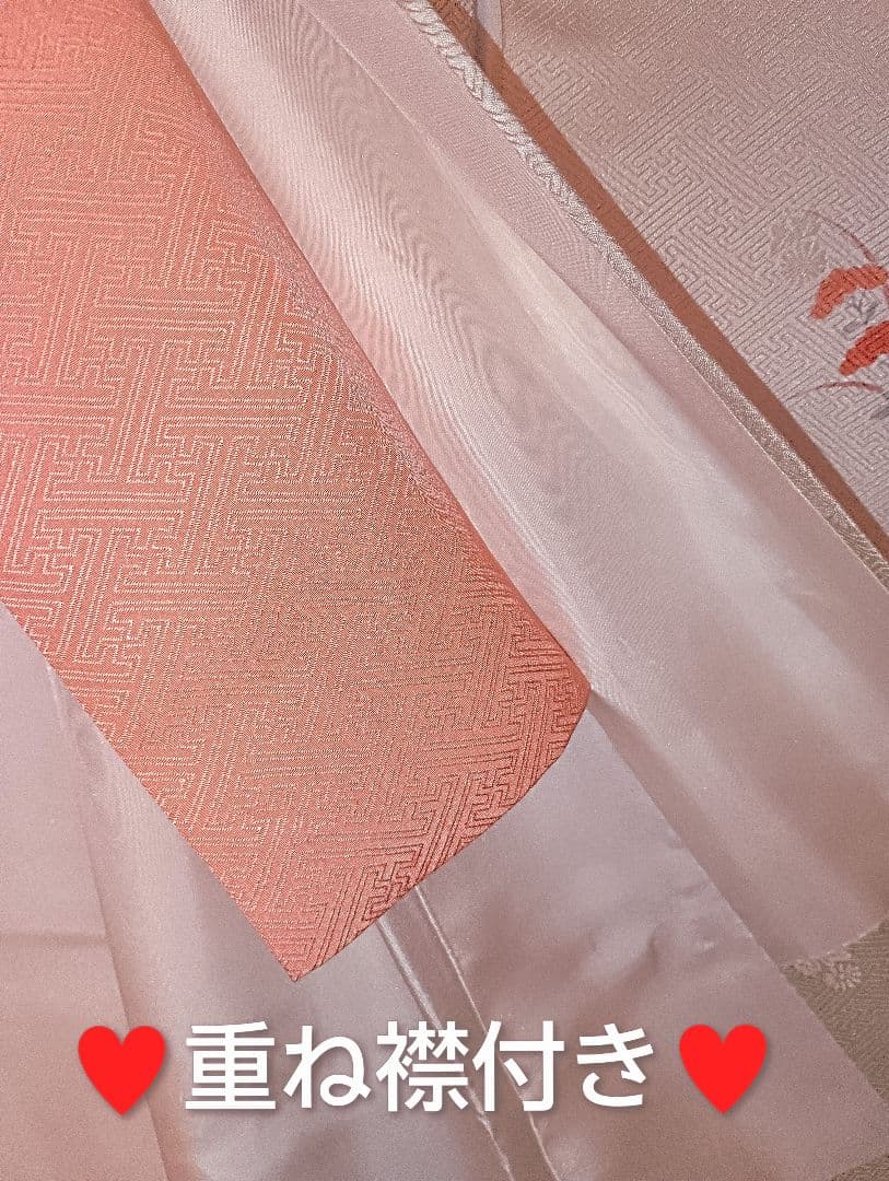 [三松]★金彩♥訪問着♡重ね襟付 【うさぴょん】