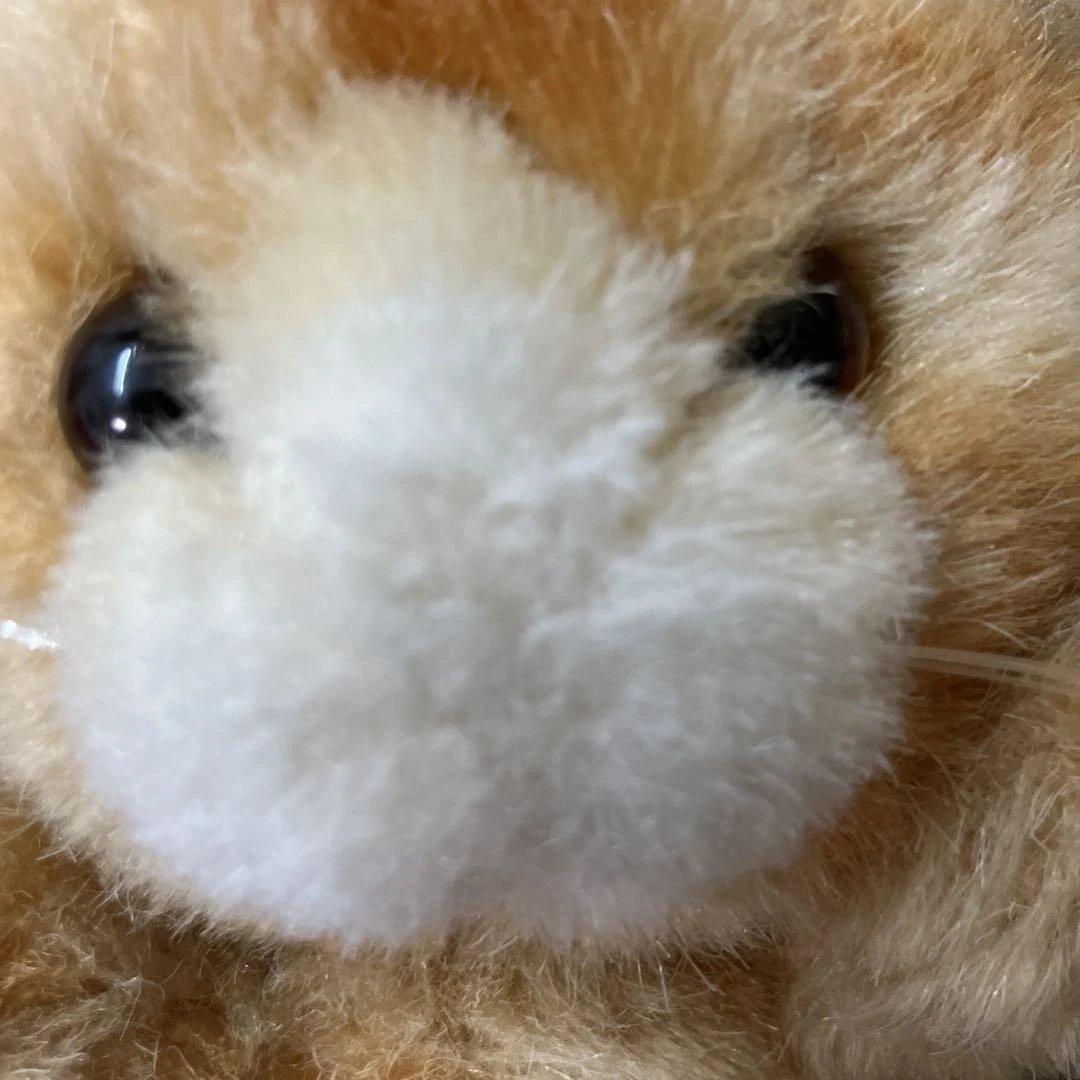 子猫物語 ぬいぐるみ