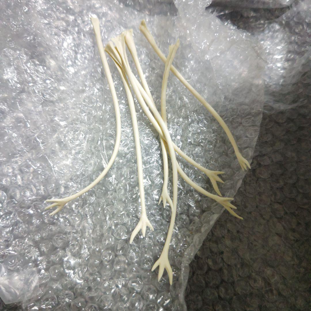 宇宙大怪獣ドゴラ　ガレージキット　未組立