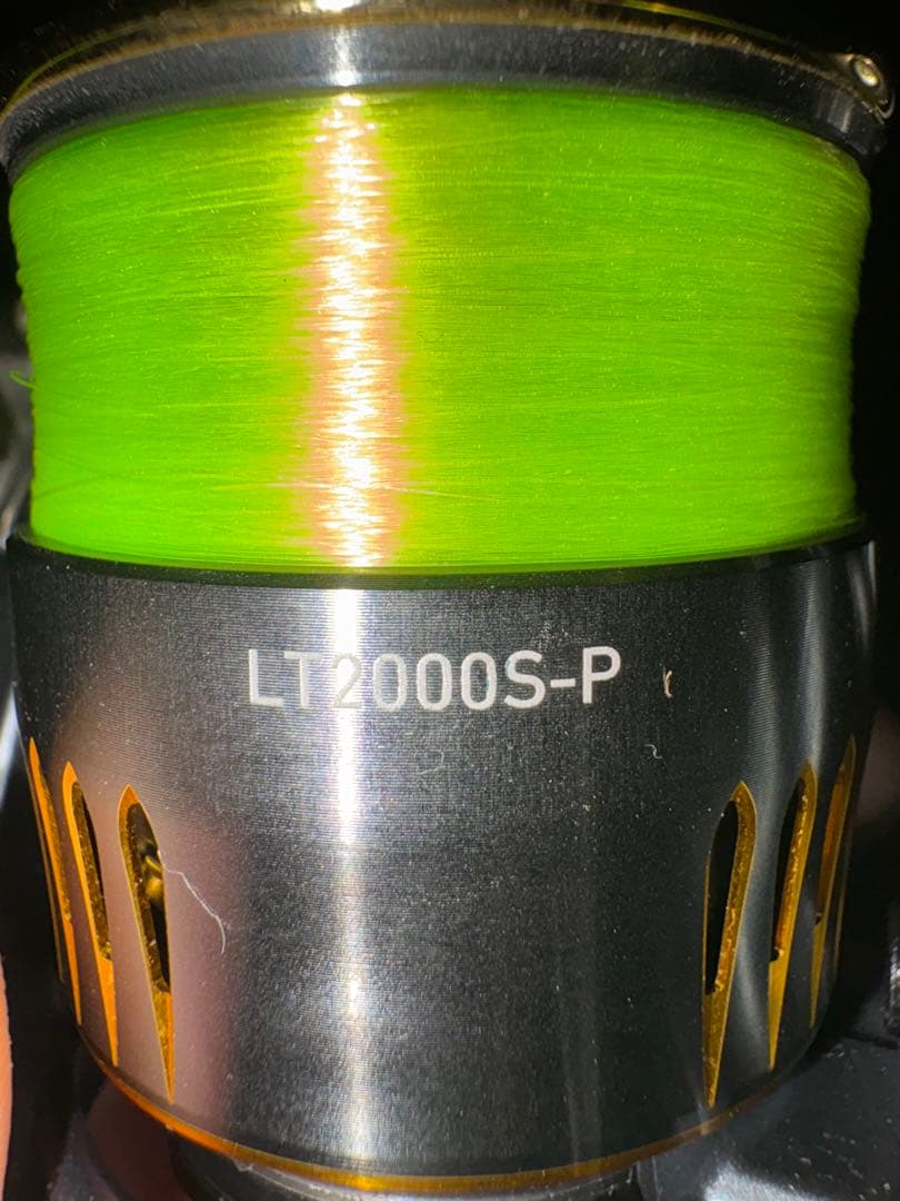 ダイワエアリティー LT2000S-P