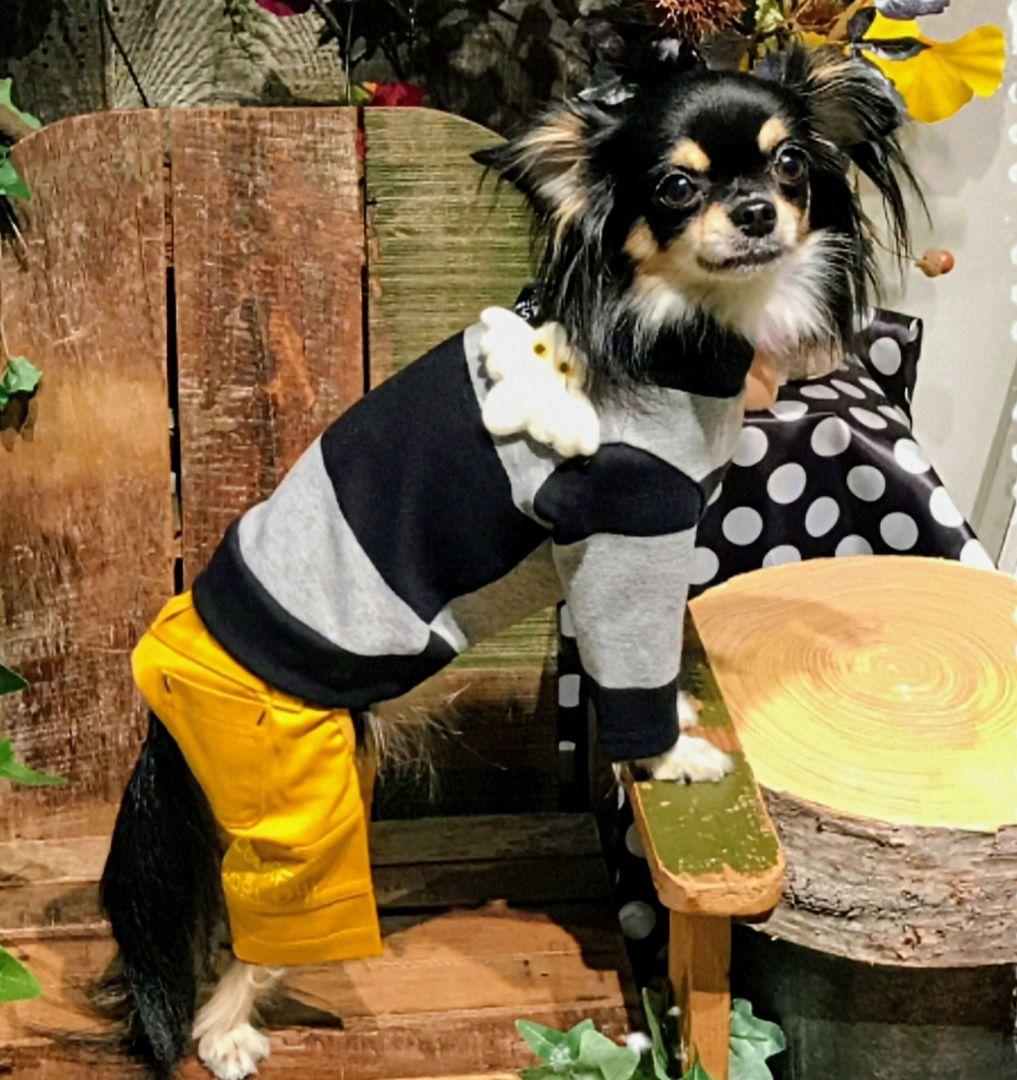 ビッグBDハイネック+パンツ　asknowasdewanアズノゥアズデワン