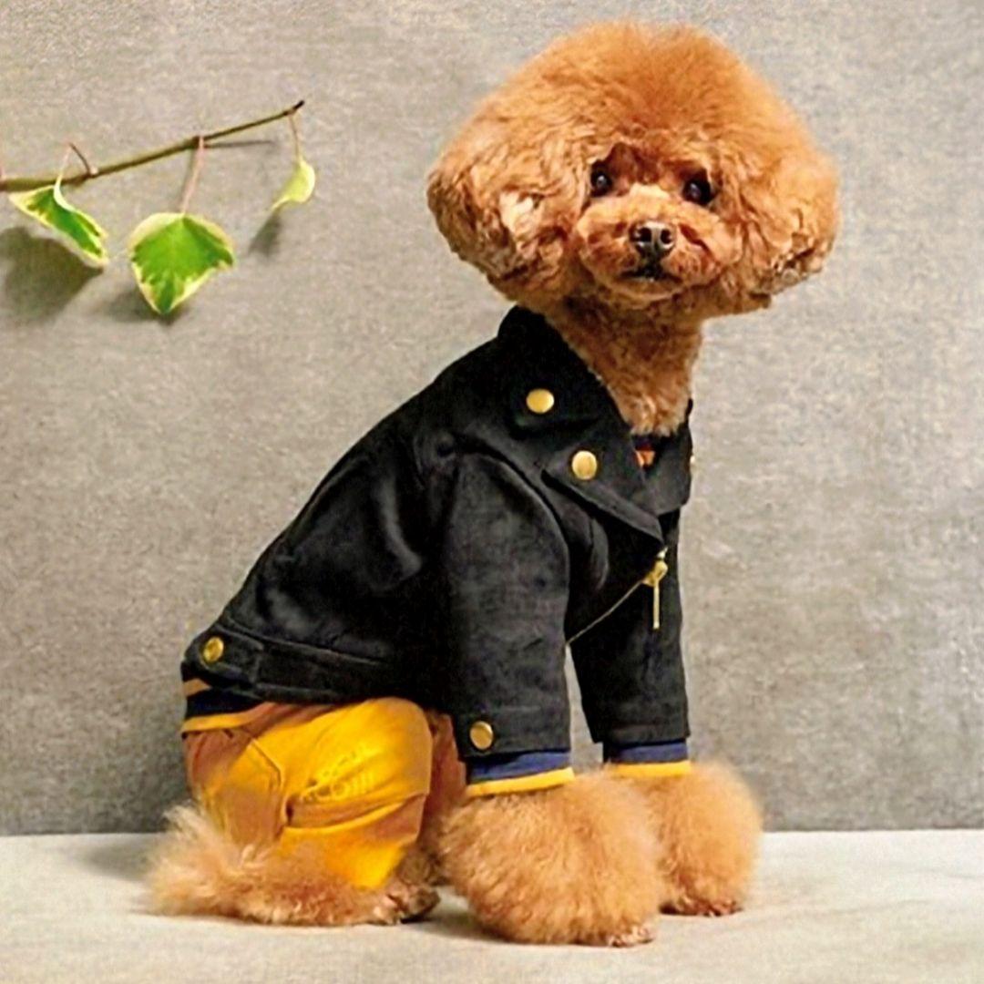 ビッグBDハイネック+パンツ　asknowasdewanアズノゥアズデワン