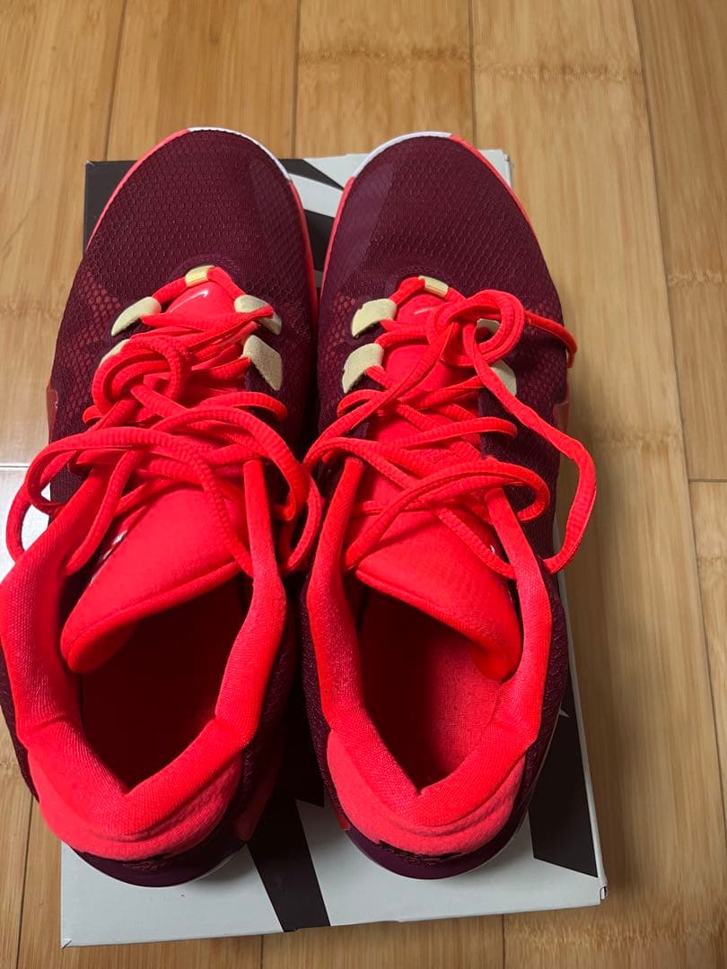 NIKE Zoom Freak1 バスケットボールシューズ