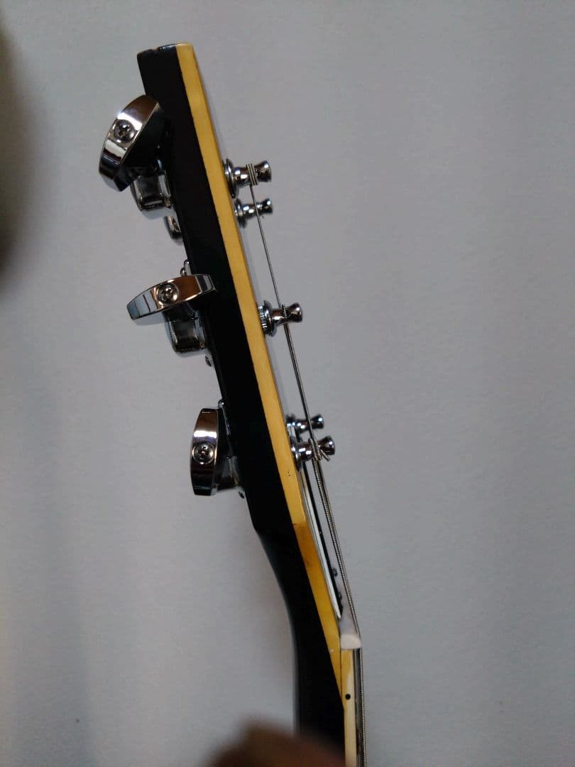 へ*ぺ様 Fresher フレッシャー レスポールカスタム ハードケース付