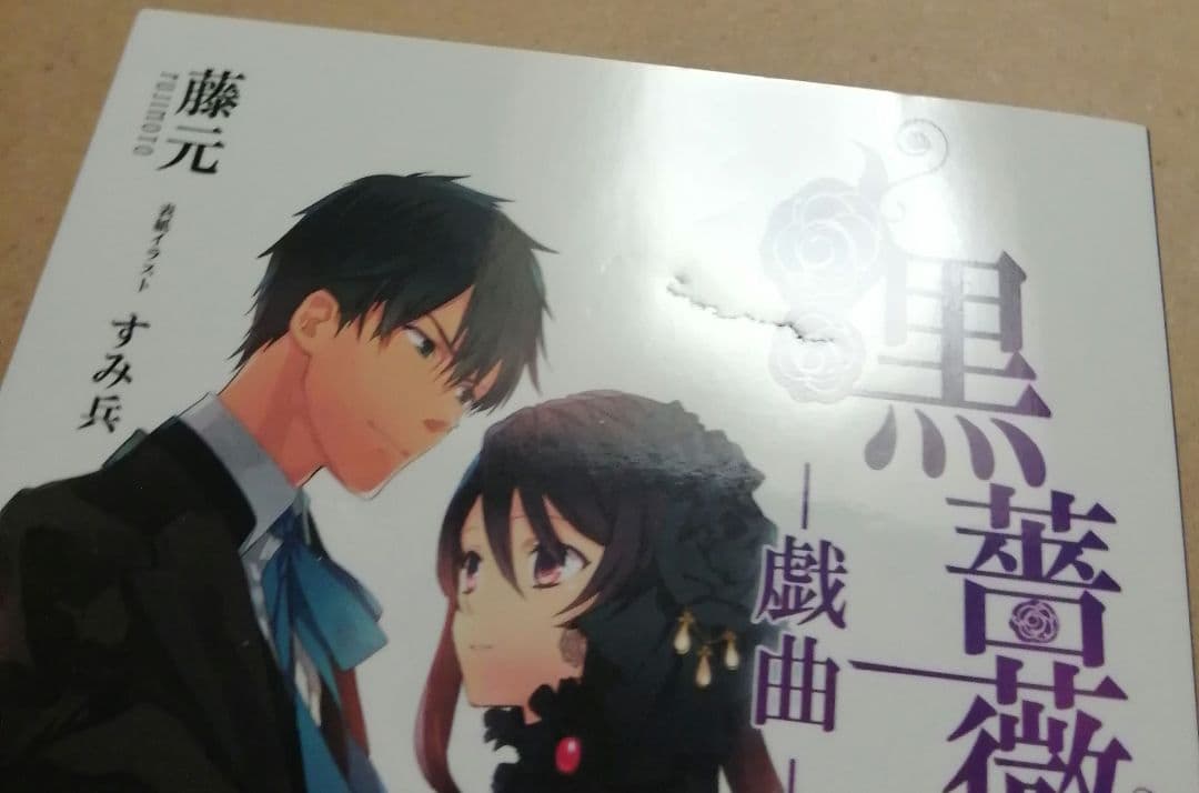 死神と少女 文庫 戯曲 ～黒薔薇姫～