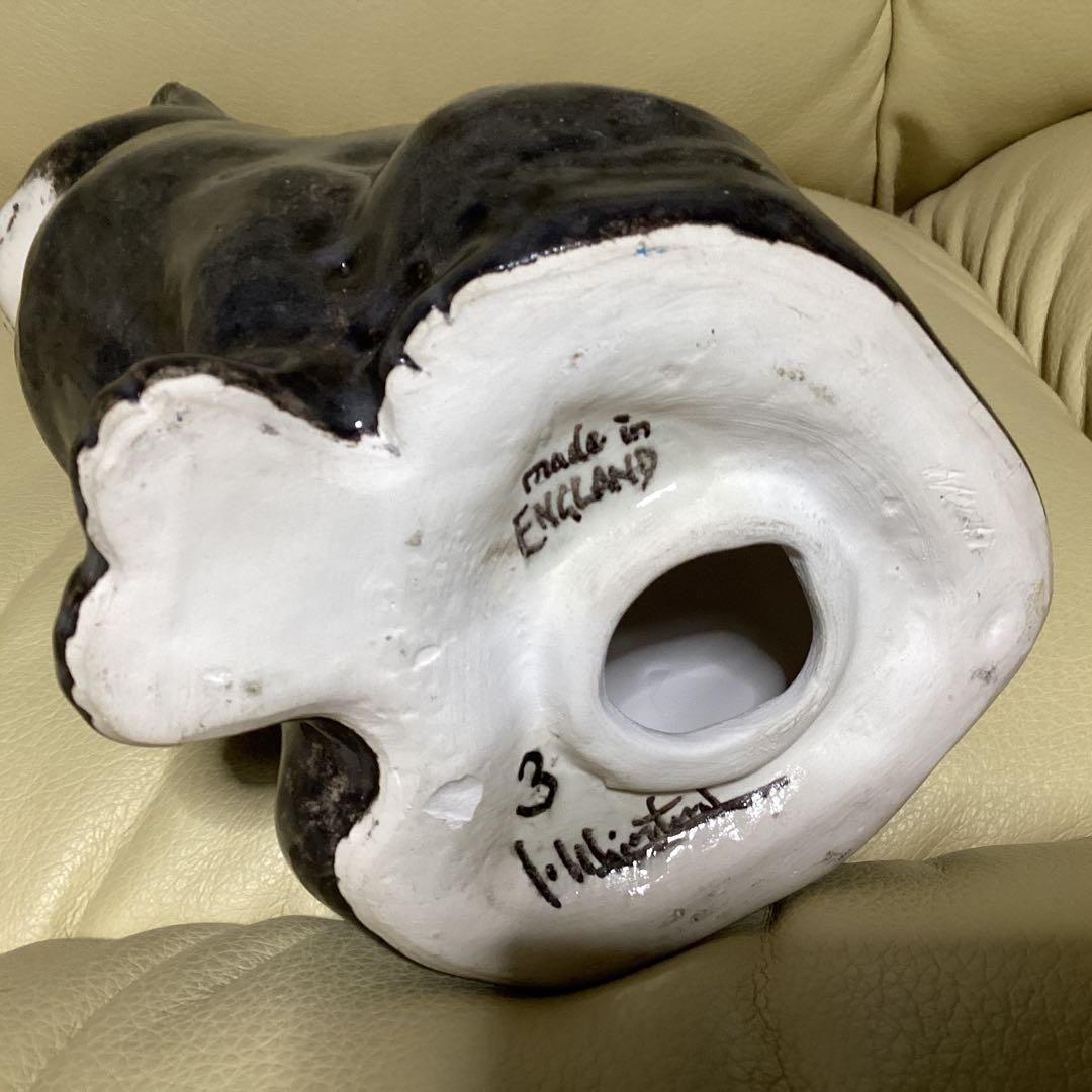 ウインスタンレイ女子のケンジントンキャットサイズ３の子