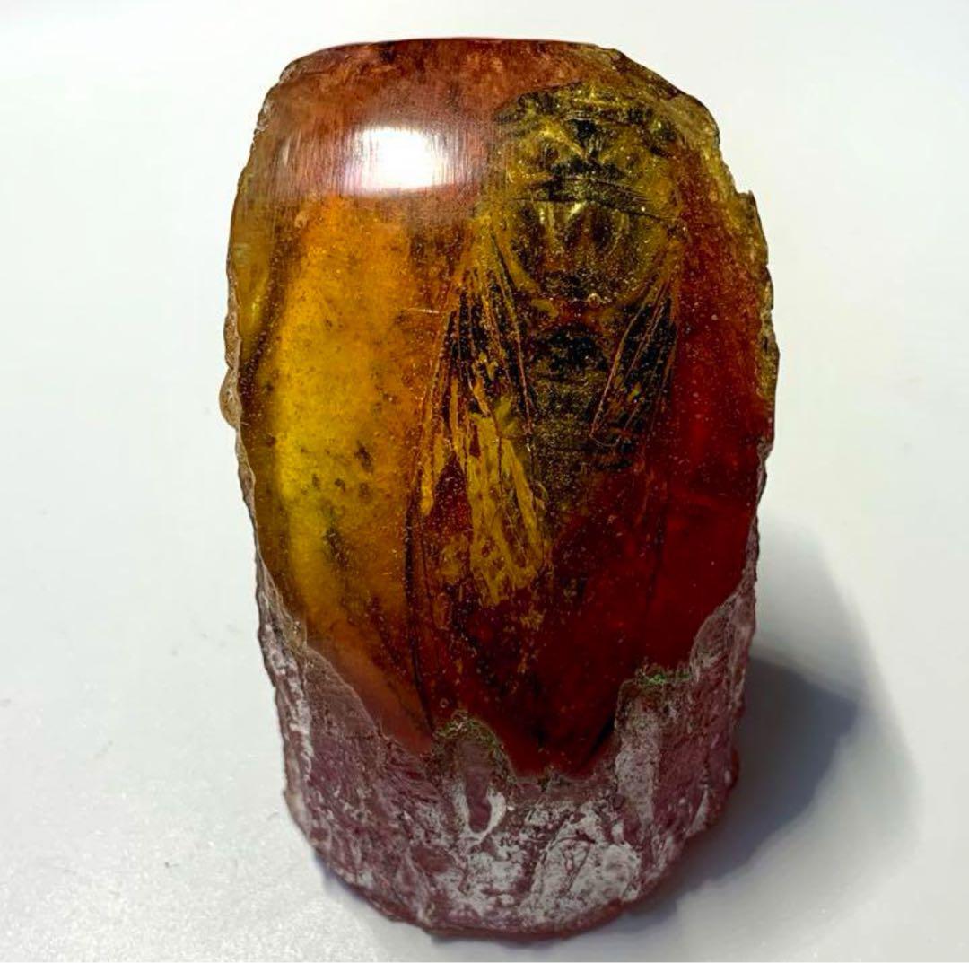 琥珀 昆虫標本天然形成入り琥珀 蝉　飾り　不思議　可愛い吉祥物　　置物