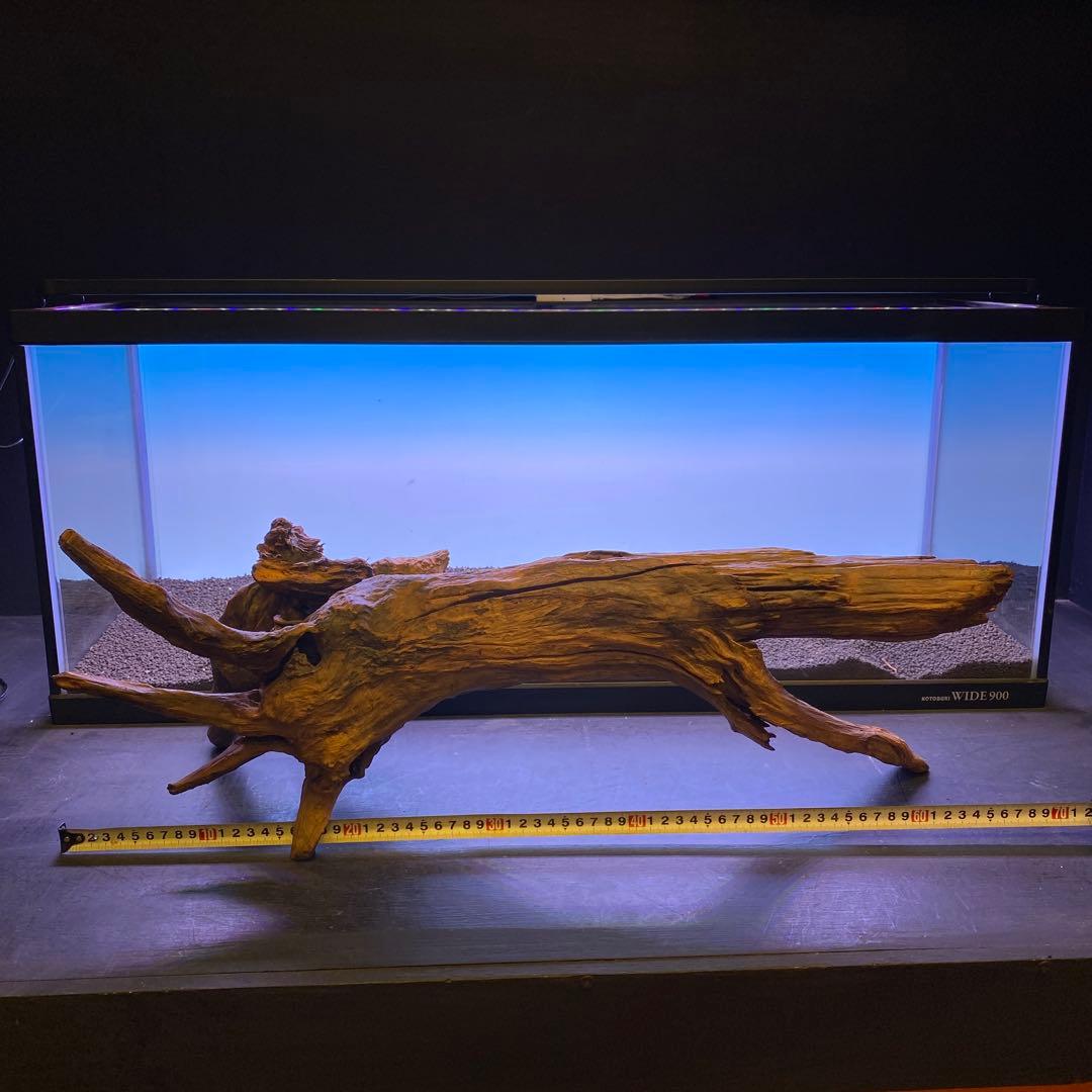 MRW-6567 特大自立赤系流木　1点物　自立流木　一点物90cm水槽用