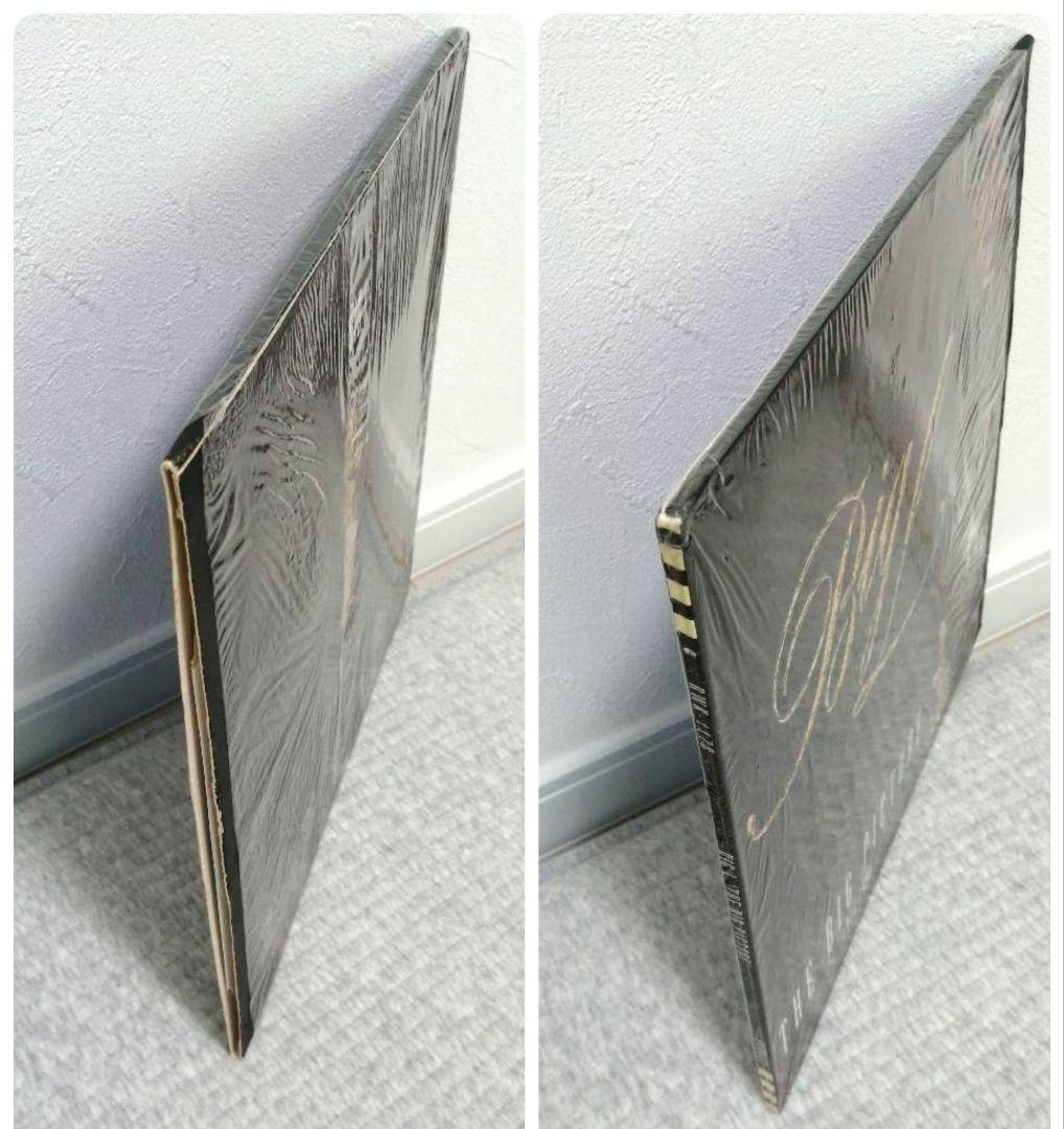 洋楽 Big L / The Big Picture 2LP