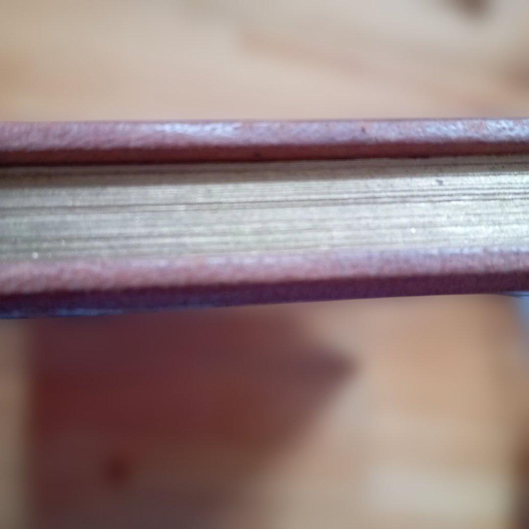 マリイロオランサン詩画集