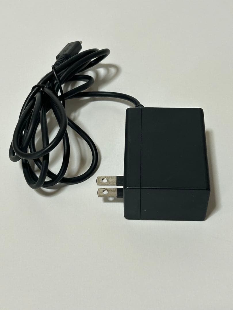 Nintendo Switch Lite グレー 本体 /ACアダプター付き