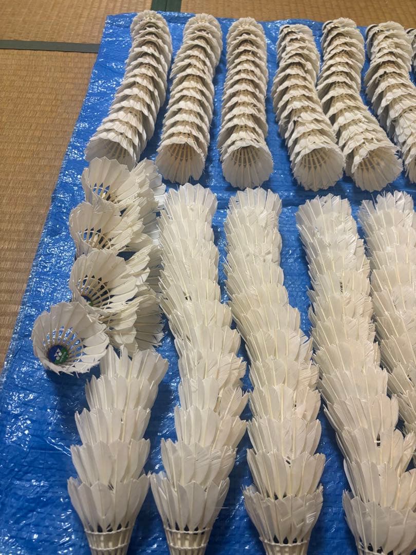 中古⭐︎ニューオフェシャルのみノック用シャトル⭐︎260球