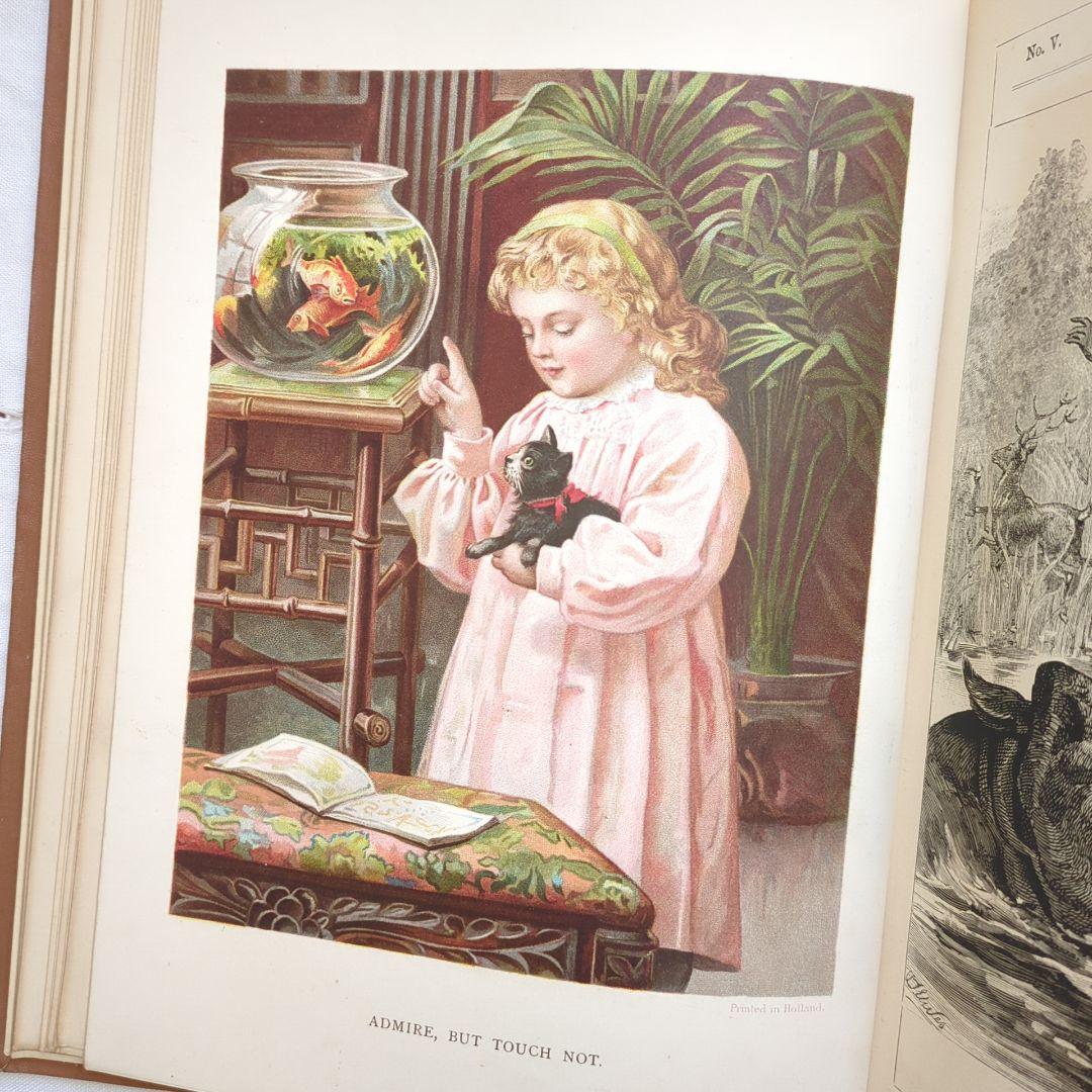 稀少1897アンティーク絵本 洋書 児童書 ヴィクトリアン ヴンテージ