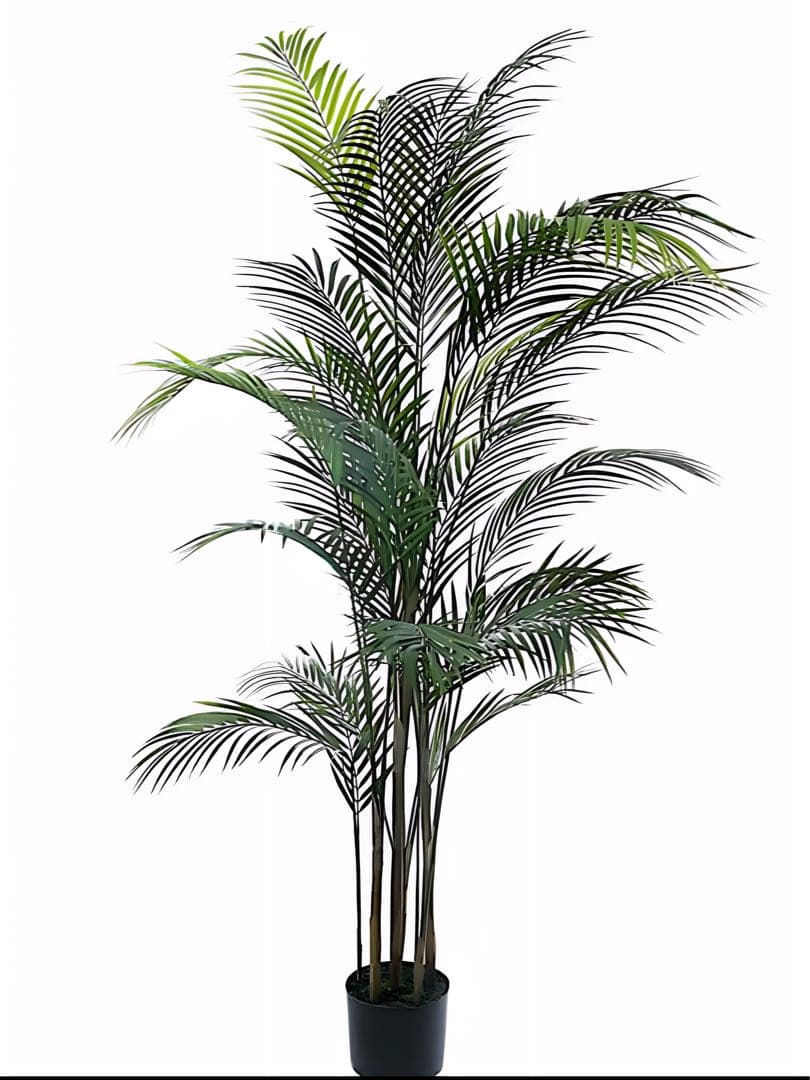 光触媒　人工観葉植物　ウォールグリーン　フェイクグリーン　アレカヤシヤシの木