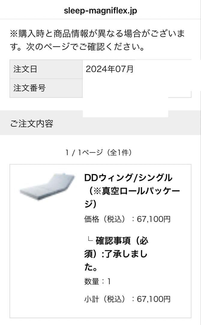 24年7月購入 DDウイング シングル マニフレックス magniflex