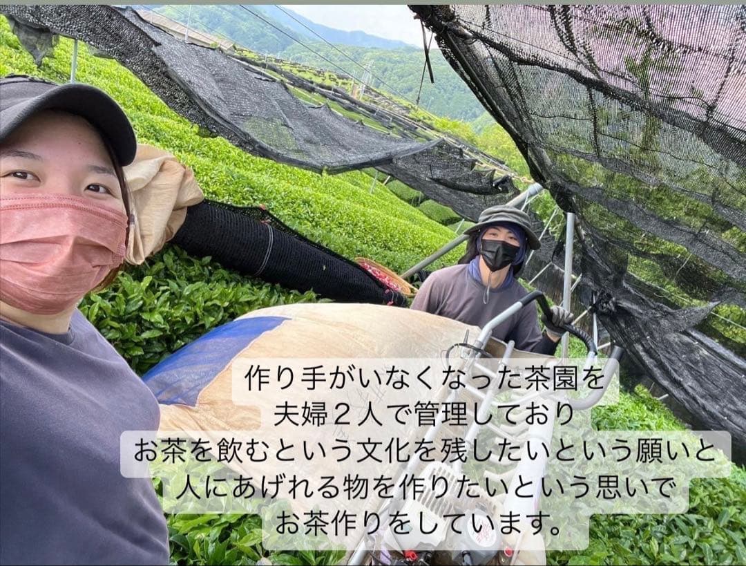【日本茶×〇〇】眠りに誘う癒しの味わい♪ほうじ茶カモミール 3g×20個