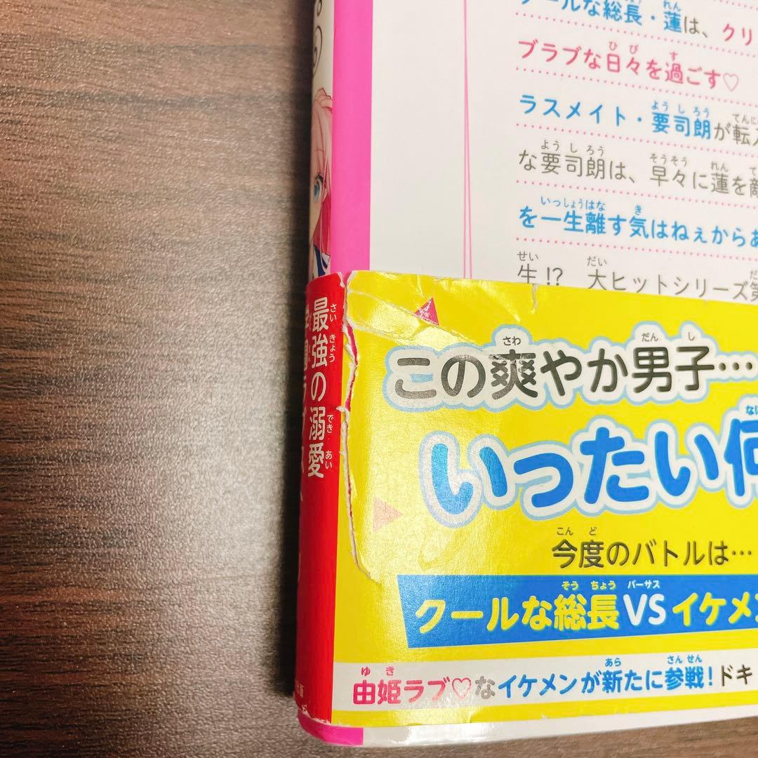【合計21冊 】総長さま、溺愛中につき。1-13巻 +今日、キミに告白します　他