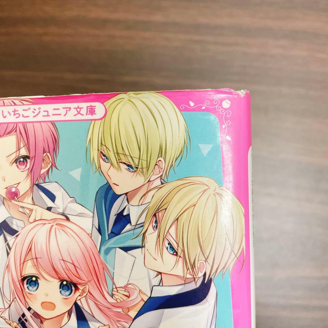 【合計21冊 】総長さま、溺愛中につき。1-13巻 +今日、キミに告白します　他