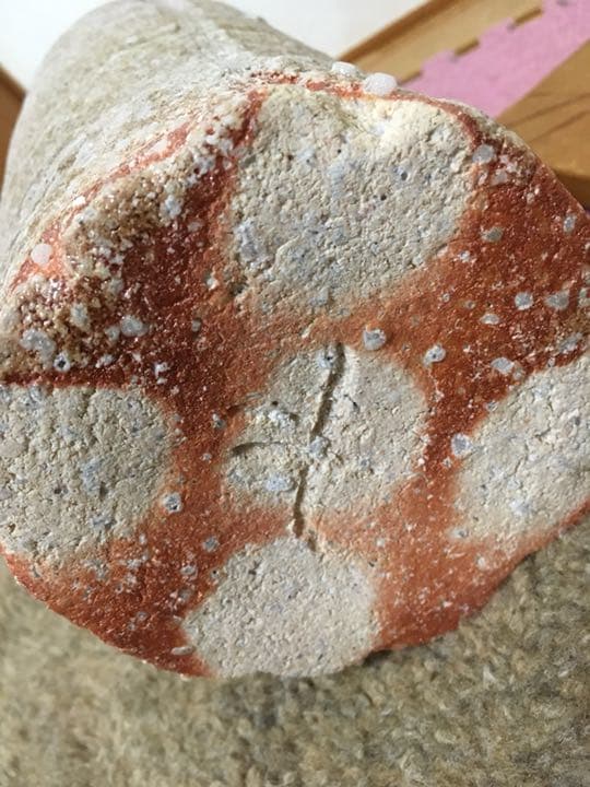 信楽焼 巨匠 澤清嗣作 花瓶 再お値下げ