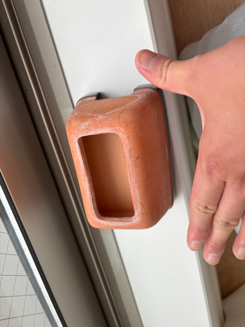 エキゾテラ　グラステラリウム9045 おまけもあります