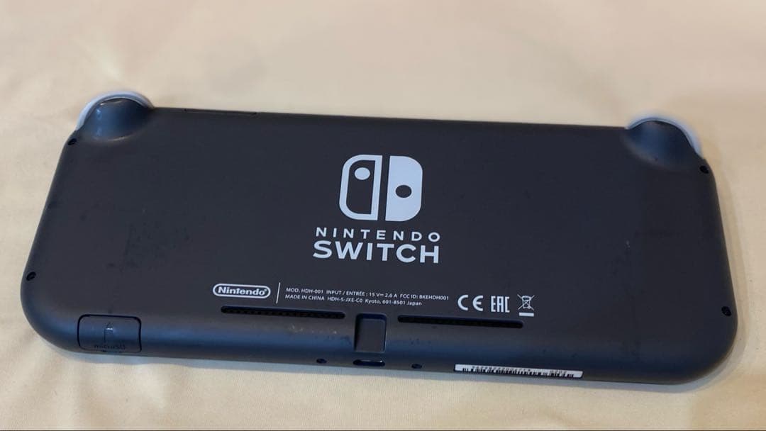 ジャンク品】充電器付きNintendo Switch Lite グレー