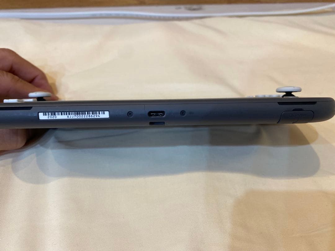 ジャンク品】充電器付きNintendo Switch Lite グレー