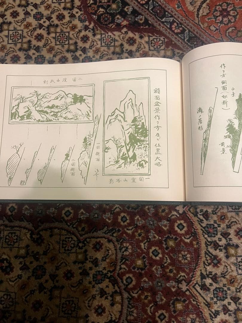 盆景教本(教授用)昭和53年 八洲庵 杉政湘雲 非売品 s19022414