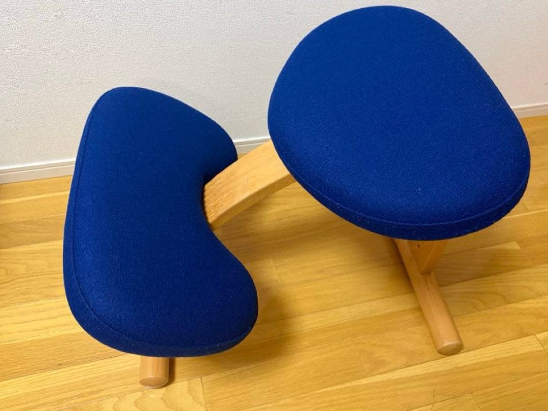 Rybo社 リボ社　［専用カバー付]　バランスチェア イージー