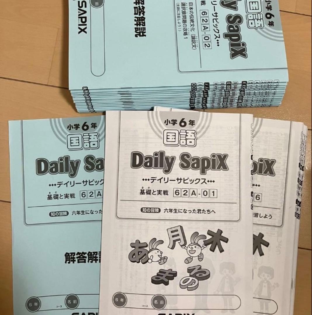 小6 国語 デイリーサピックス 24回分+春期講習•夏期講習 ウィークリーサピ他