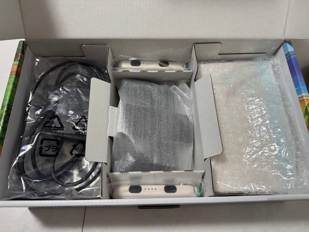 Switch あつまれどうぶつの森セット　中古　あつ森　スイッチ