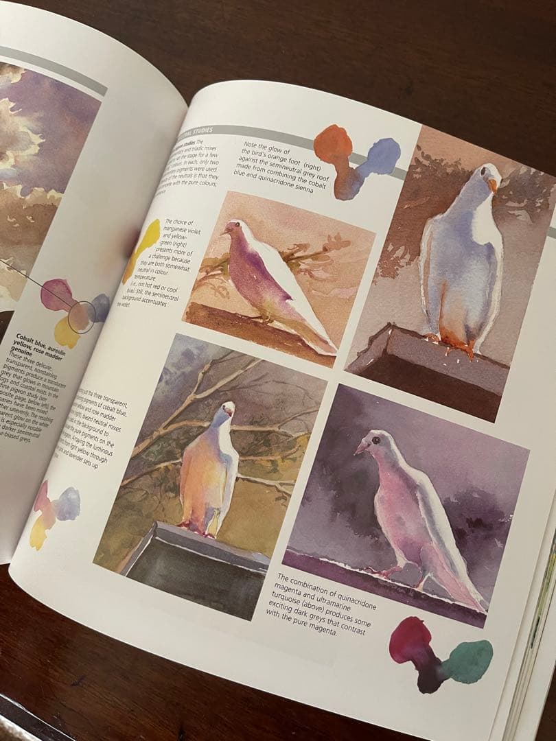 洋書:水彩画本★ the watercolour artist's gui