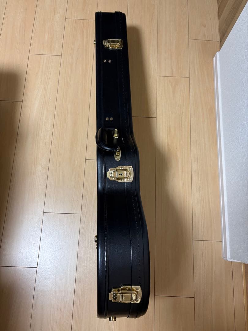 Epiphone TAK MATSUMOTO DC エレキギター ハードケース付